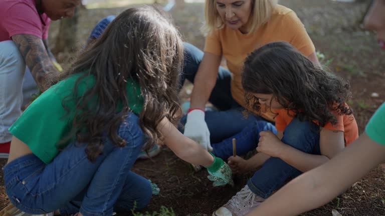 How Our Tree Care Process Works  in  Freeport, TX